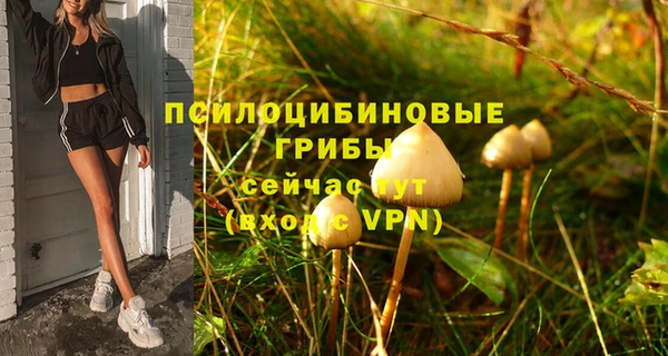 бошки Строитель