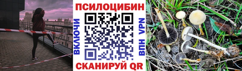 ссылка на мегу сайт  Ивдель  Галлюциногенные грибы Psilocybine cubensis  наркошоп 